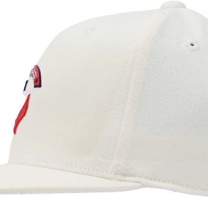 Republic - Texas Lone Star Map - White Hat